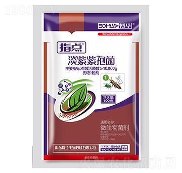 10.0億每克淡紫紫孢菌粉劑-指點1號-韓農(nóng)