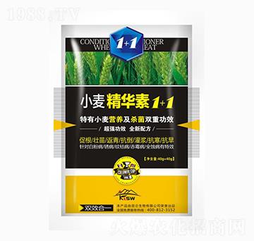 小麥精華素1+1-愛普達(dá)