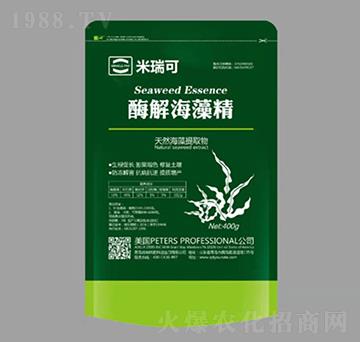 ø�⺣�徫-�����-��(y��u)�{��