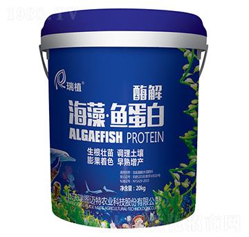 ø�⺣���~(y��)����-��ֲ-���w�~��