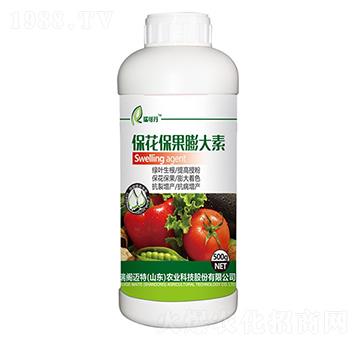 �������������-��ɵ�-���w�~��