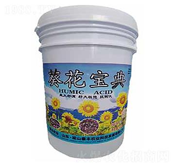 葵花寶典-梁山泰豐