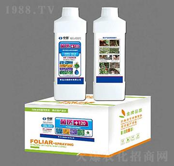 ���t(y��)+120-�־G����