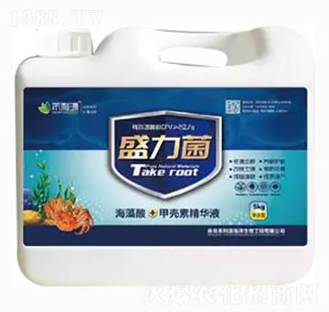 盛力菌-大順化工