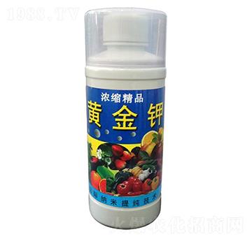 黃金甲-梁山泰豐