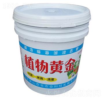 超濃縮海藻液態(tài)肥-植物黃金-梁山泰豐