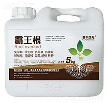 ������-��ɽ̩�S