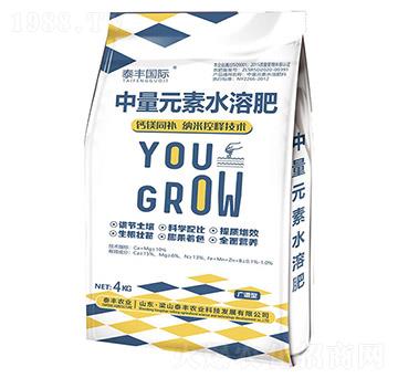 中量元素水溶肥-梁山泰豐