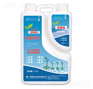 枯黃魔方（蓓力秀）+壯根生（好伙伴）-騰豐農(nóng)業(yè)