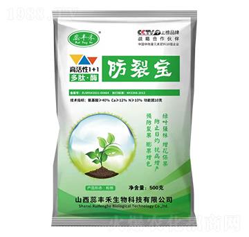 �߻���1+1���ġ�ø-���ь�-���S��