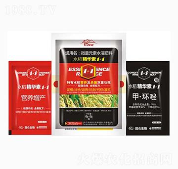 水稻營養(yǎng)殺菌增產(chǎn)精華素-愛普達