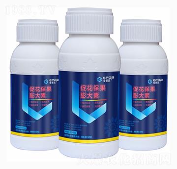 促花保果膨大素（瓶）-愛普達(dá)