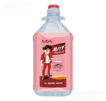 根小子中微量元素水溶肥-愛普達