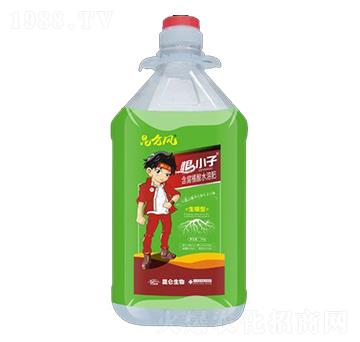 含腐植酸水溶肥-根小子-愛(ài)普達(dá)