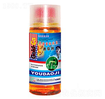 �T��(d��o)��-�|���S