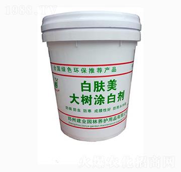 ���Ϳ�ׄ�Ͱ�b-���w��-���I(y��)