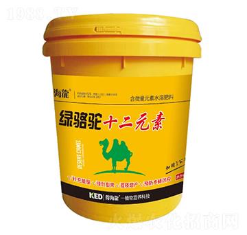 綠駱駝十二元素桶肥-得海龍-康恩地