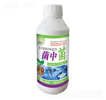 ���о�΢�������-�ú���-������