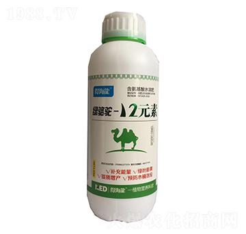 綠駱駝-12元素葉面肥-康恩地
