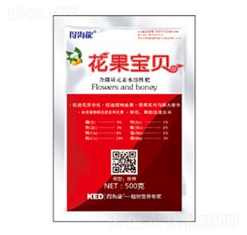 花果寶貝-得海龍-康恩地