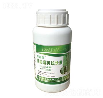 �������v���L��-�ú���-������