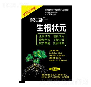 生根狀元-得海龍-康恩地