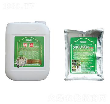 守綠、守根-得海龍-康恩地