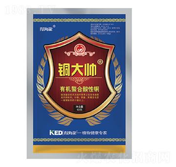 銅大帥-得海龍-康恩地