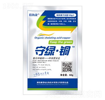 守綠·銅-得海龍-康恩地