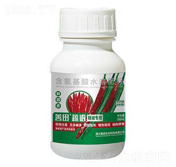 辣椒專用含氨基酸水溶肥料-善田蔬語-善田