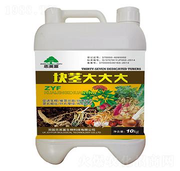 �K�o����-�|���S