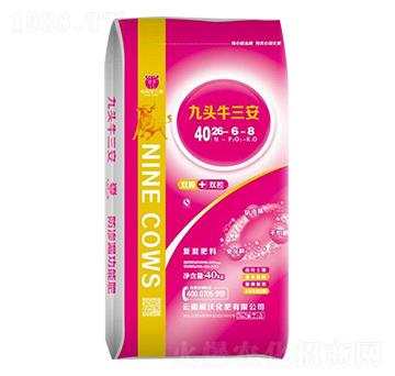 ���^ţ����26-6-8-����