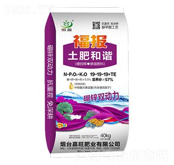 緩控釋摻混肥料19-19-19+TE-福報土肥和諧-嘉旺