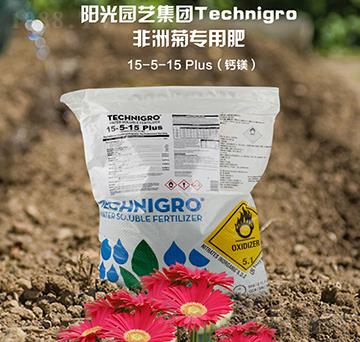 非洲菊專用鈣鎂肥5-5-15-陽(yáng)光智慧