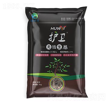 護(hù)衛(wèi)·無(wú)線生根-海綠王