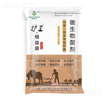 護(hù)衛(wèi)·根益康-海綠王