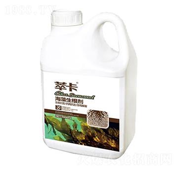 ����������-�Ϳ�-���S