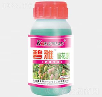 碧雅芒果專用催花素-康施得