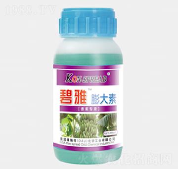 碧雅香蕉膨大素-康施得