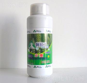 小麥專用精華素-阿拉丁