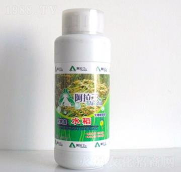 水稻專用精華素-阿拉丁