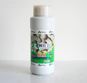 �������þ��A��-������