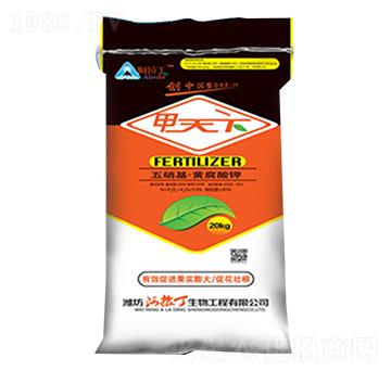 �������S�����-������-������