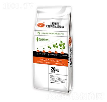 20kg平衡型大量元素水溶肥料19-19-19+TE-大微菌素-金必來(lái)生物