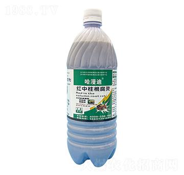草莓紅中柱根腐靈-鑫科植保