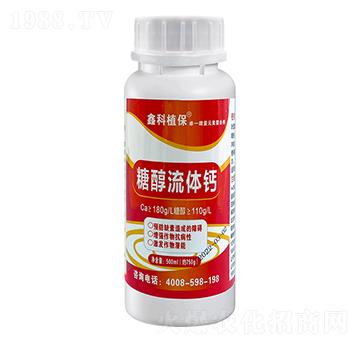 500ml�Ǵ����w�}-�ο�ֲ��