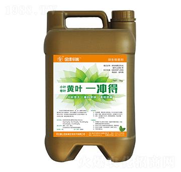 黃葉一沖得-金科瑞