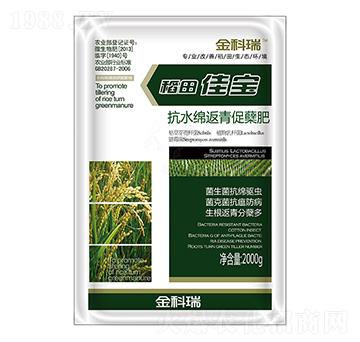 稻田佳寶-金科瑞