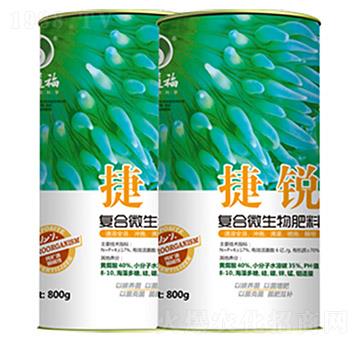 �ͺ�΢�������-���J-������