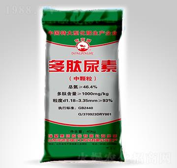 ���w����������-�|ƽ��-����